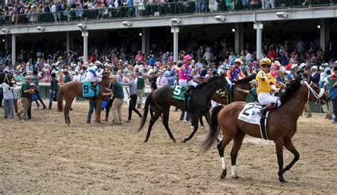 kentucky derby horses|kentucky derby horse that died.